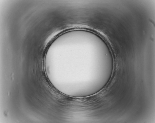 X0000103291271200808291100