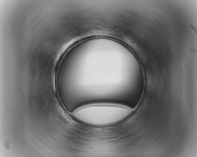 X0000103291272200808291100