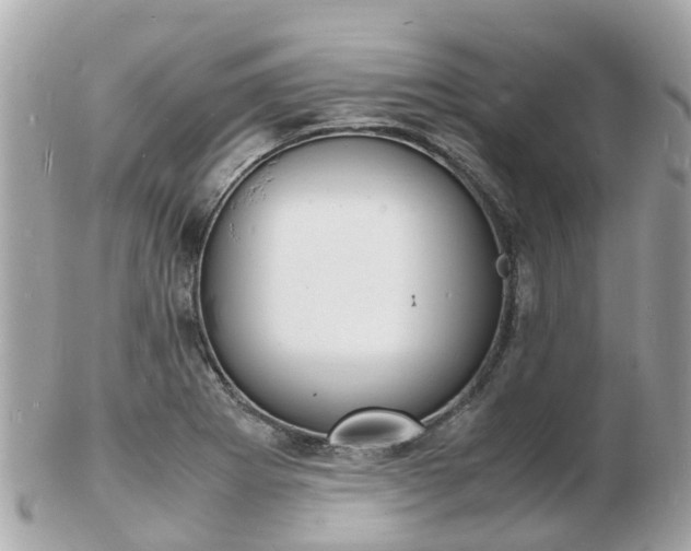 X0000103291273200808291100