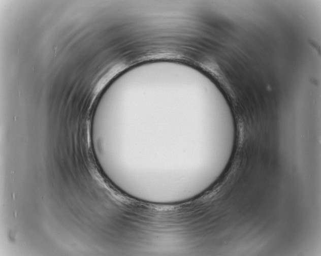 X0000103291274200808291100
