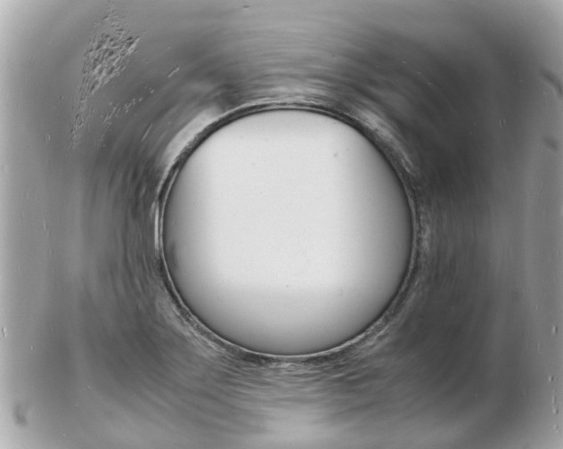 X0000103291275200808291100