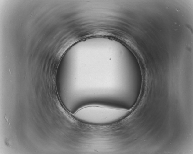 X0000103291281200808291100