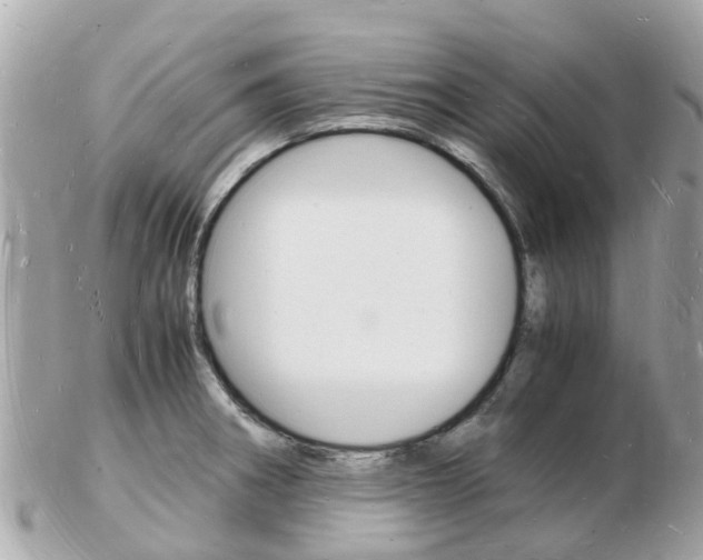 X0000103291282200808291100