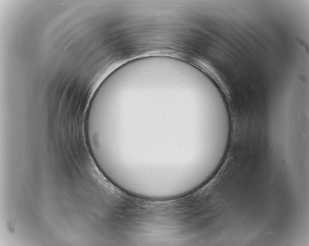 X0000103291284200808291100