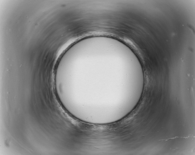 X0000103291286200808291100