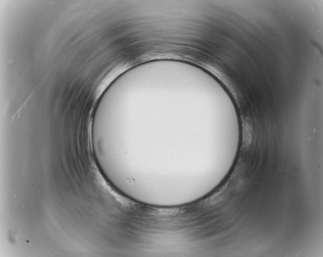 X0000103291290200808291100