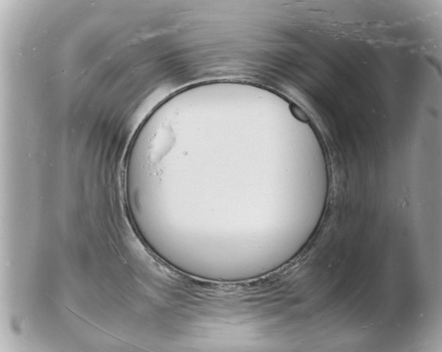 X0000103291291200808291100
