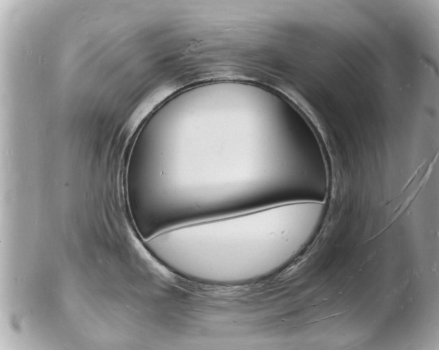 X0000103291293200808291100
