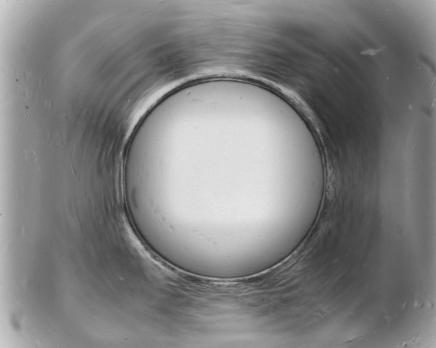 X0000103291295200808291100