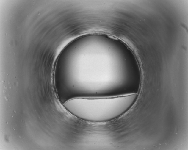 X0000103291296200808291100