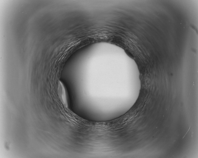 X0000103291297200808291059