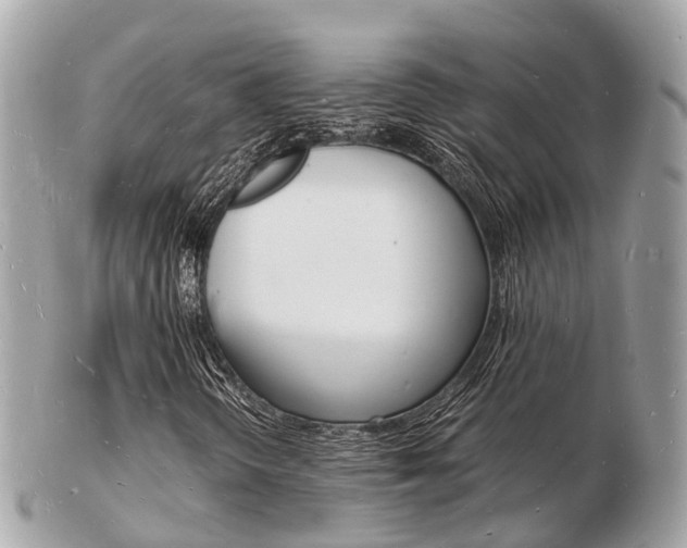X0000103291298200808291059