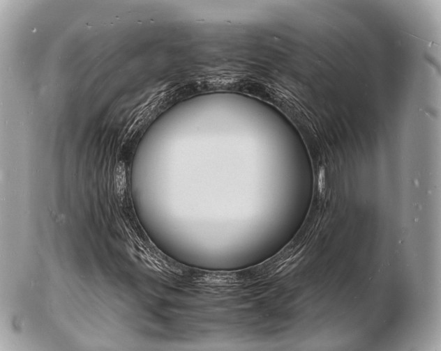 X0000103291299200808291059