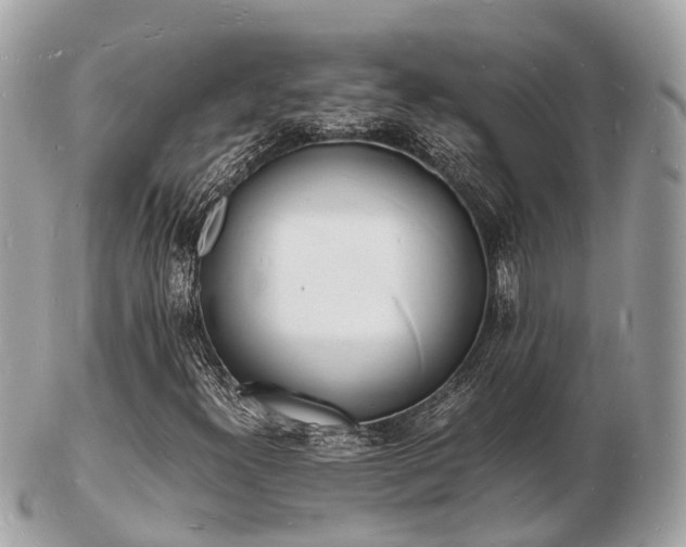 X0000103291300200808291059