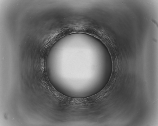 X0000103291301200808291059