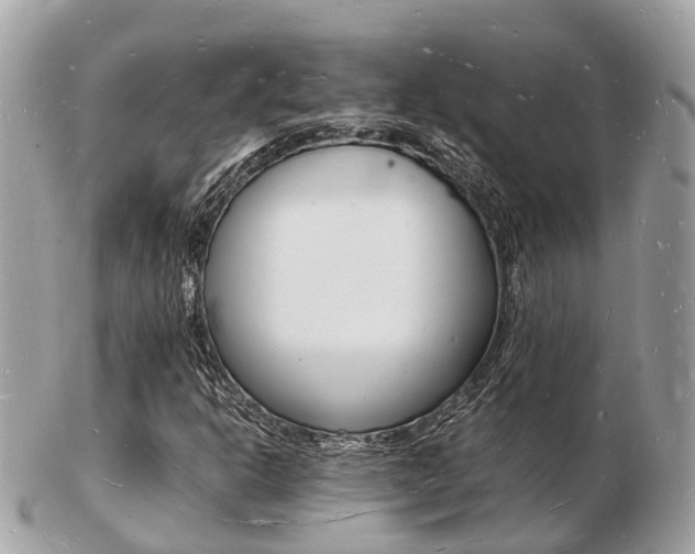 X0000103291302200808291059