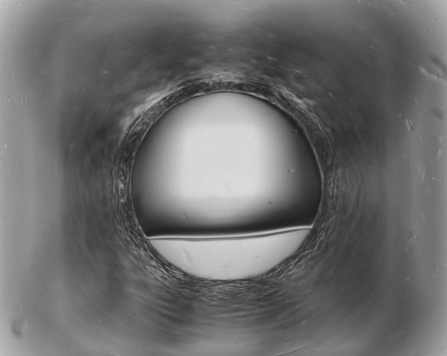 X0000103291303200808291059