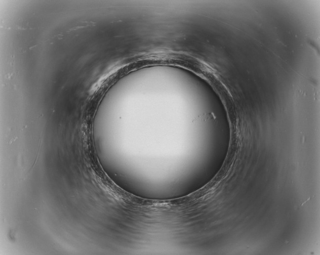 X0000103291304200808291059