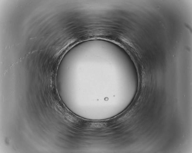 X0000103291305200808291059