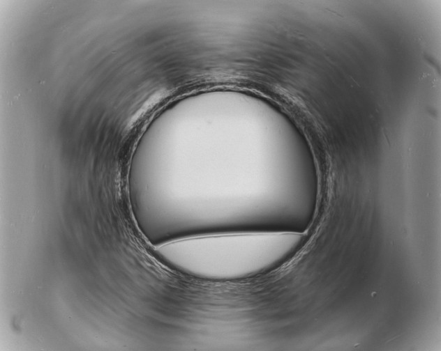 X0000103291306200808291059