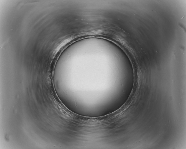 X0000103291308200808291059