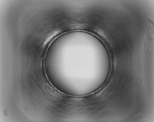 X0000103291309200808291059