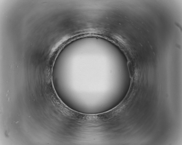 X0000103291310200808291059