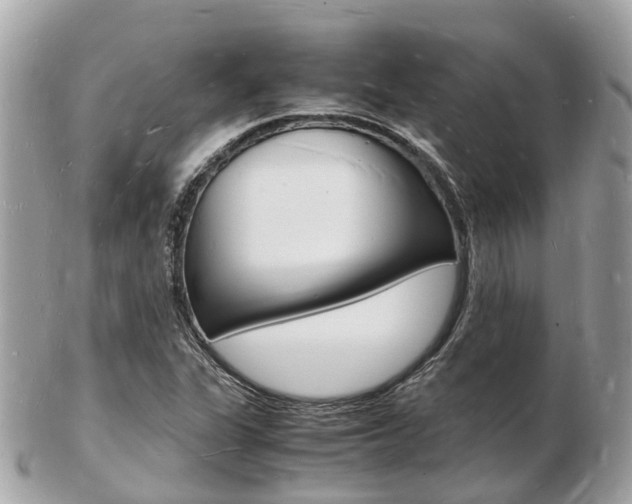 X0000103291311200808291059