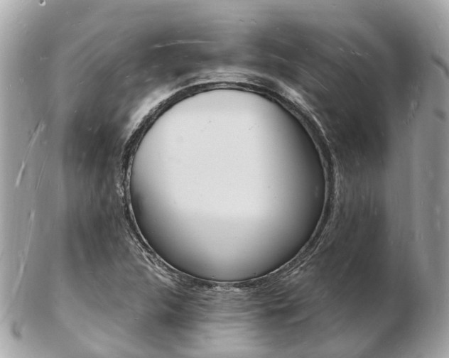 X0000103291312200808291059