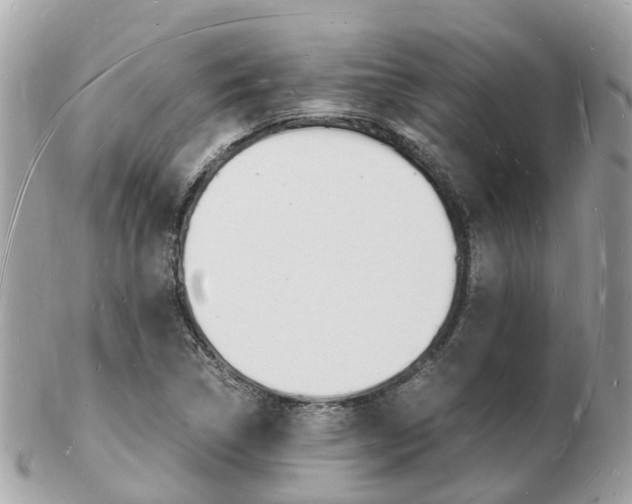 X0000103291314200808291059