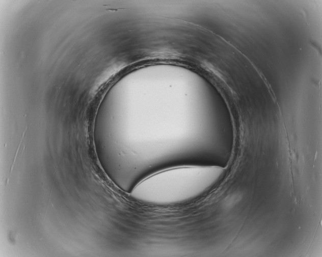 X0000103291315200808291059