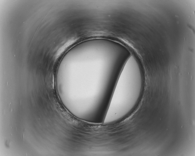 X0000103291317200808291059