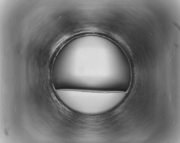 X0000103291318200808291059