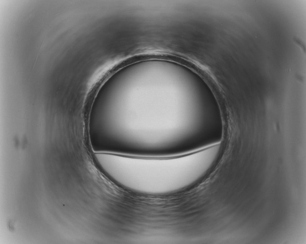X0000103291319200808291059