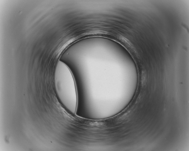 X0000103291321200808291059