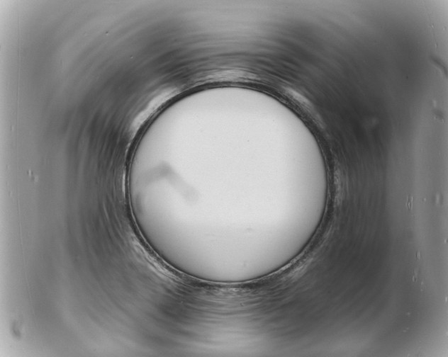 X0000103291322200808291059