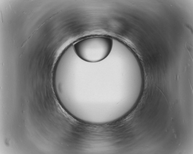 X0000103291326200808291059