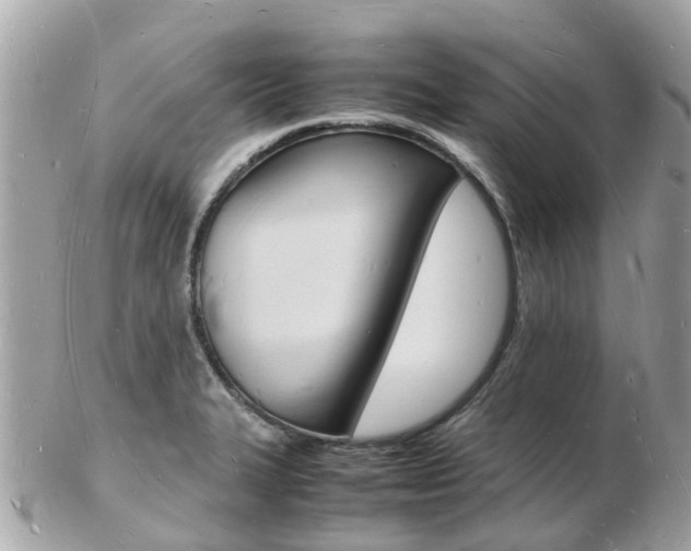 X0000103291327200808291059