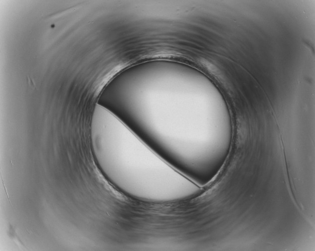 X0000103291329200808291059