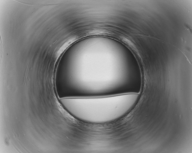 X0000103291330200808291059