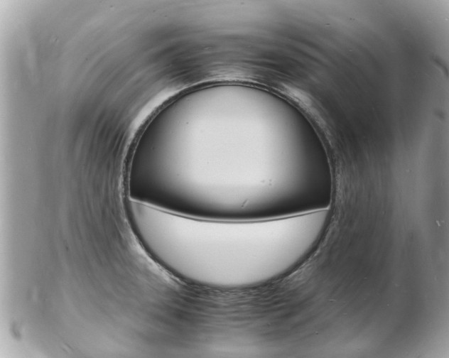 X0000103291331200808291059