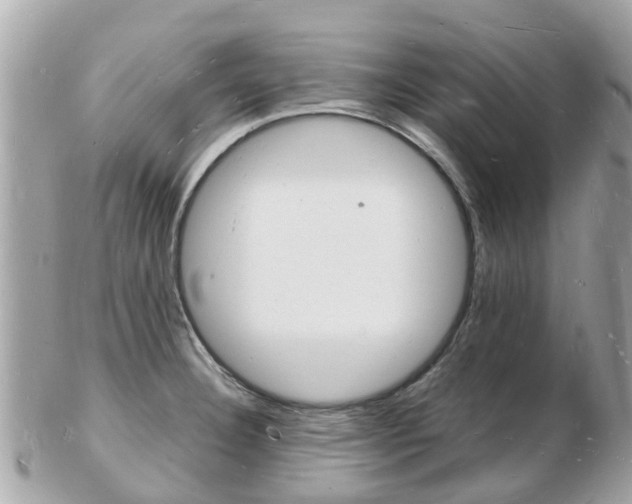 X0000103291332200808291059