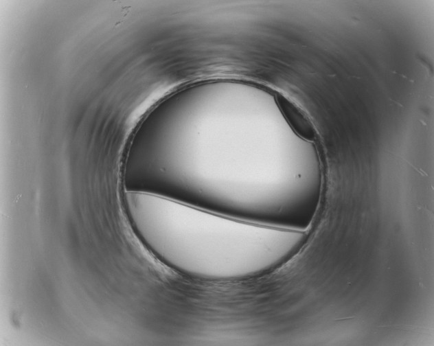 X0000103291333200808291059
