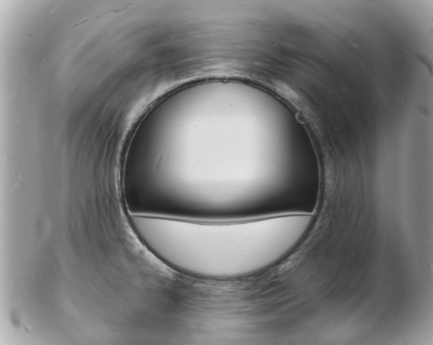 X0000103291334200808291059