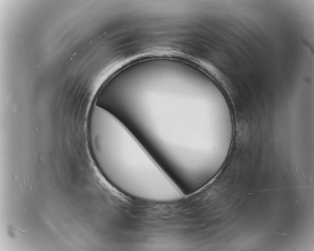 X0000103291335200808291059