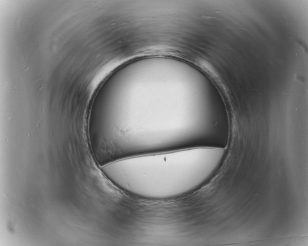 X0000103291336200808291059