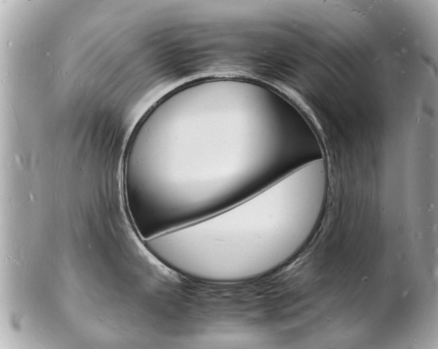 X0000103291343200808291059