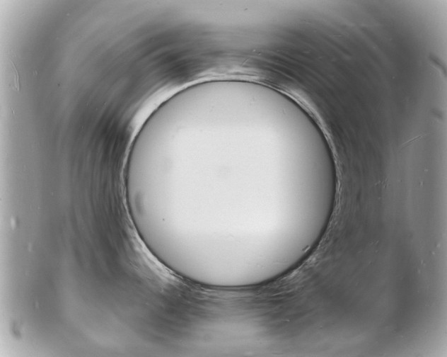 X0000103291344200808291059