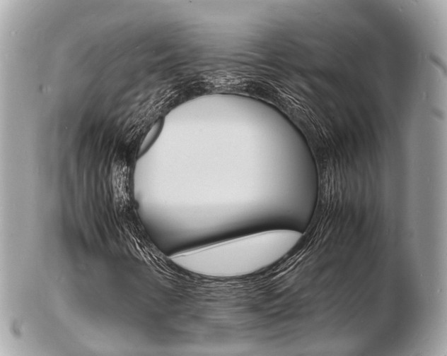 X0000103291346200808291059