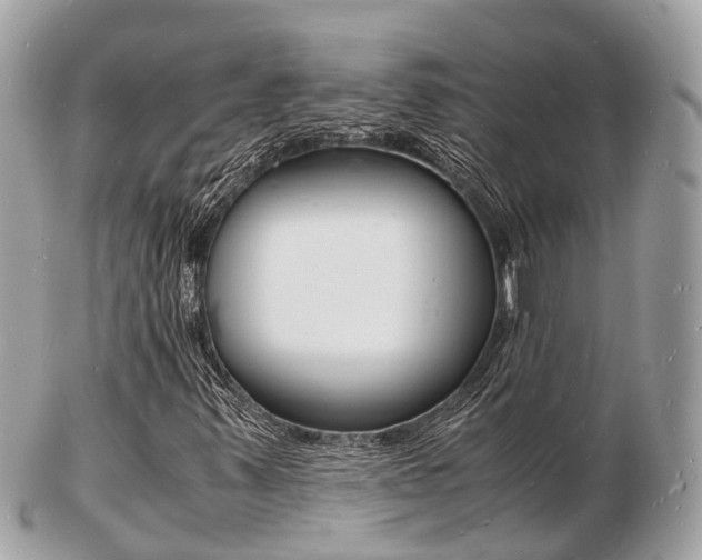 X0000103291347200808291059